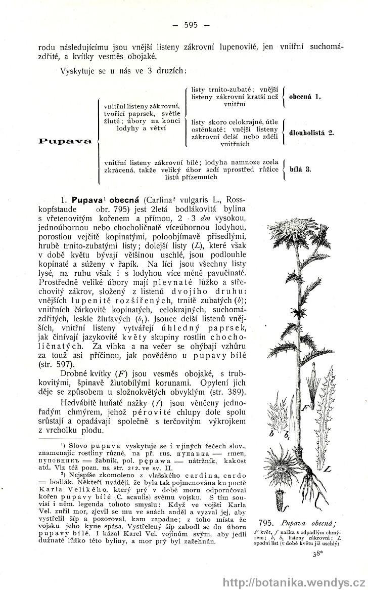 Názorná květena zemí koruny české, svazek 3, strana 595
