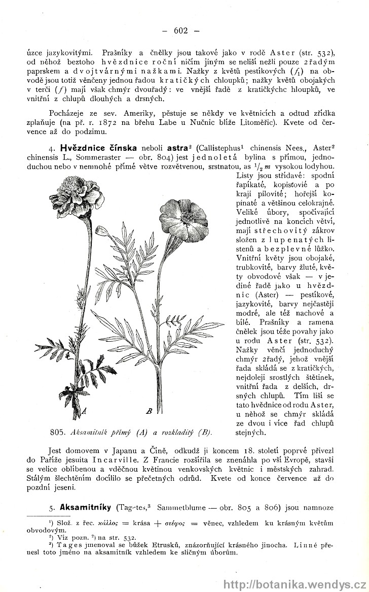 Názorná květena zemí koruny české, svazek 3, strana 602