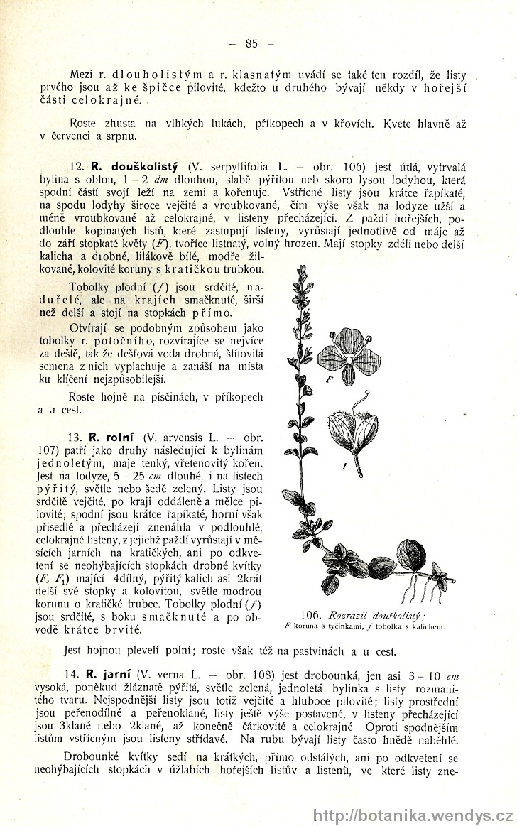 Názorná květena zemí koruny české, svazek 3, strana 85