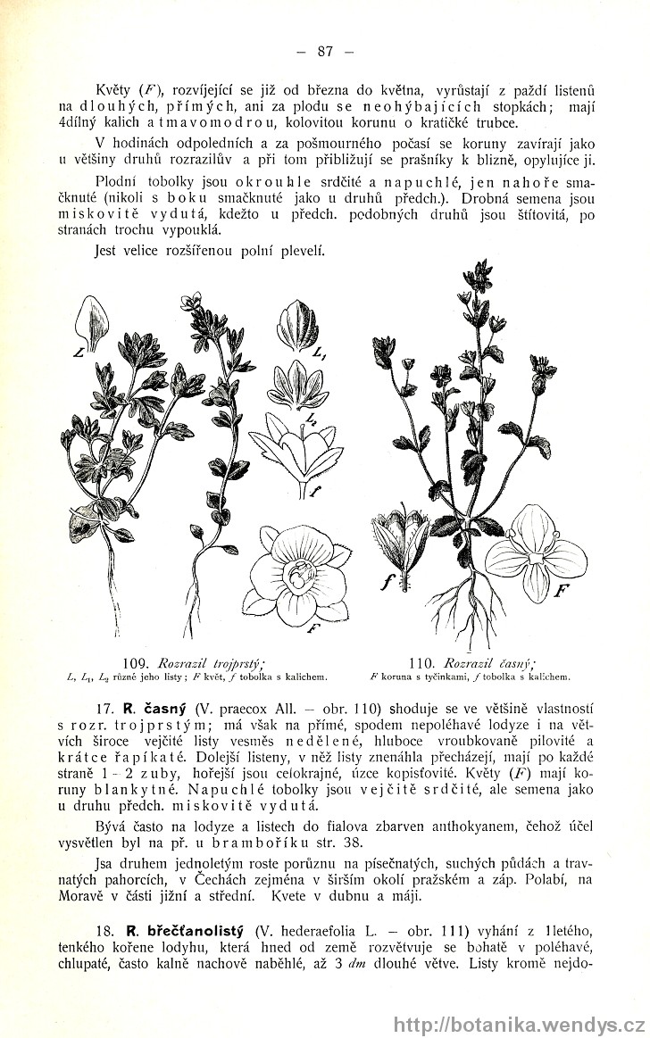 Názorná květena zemí koruny české, svazek 3, strana 87