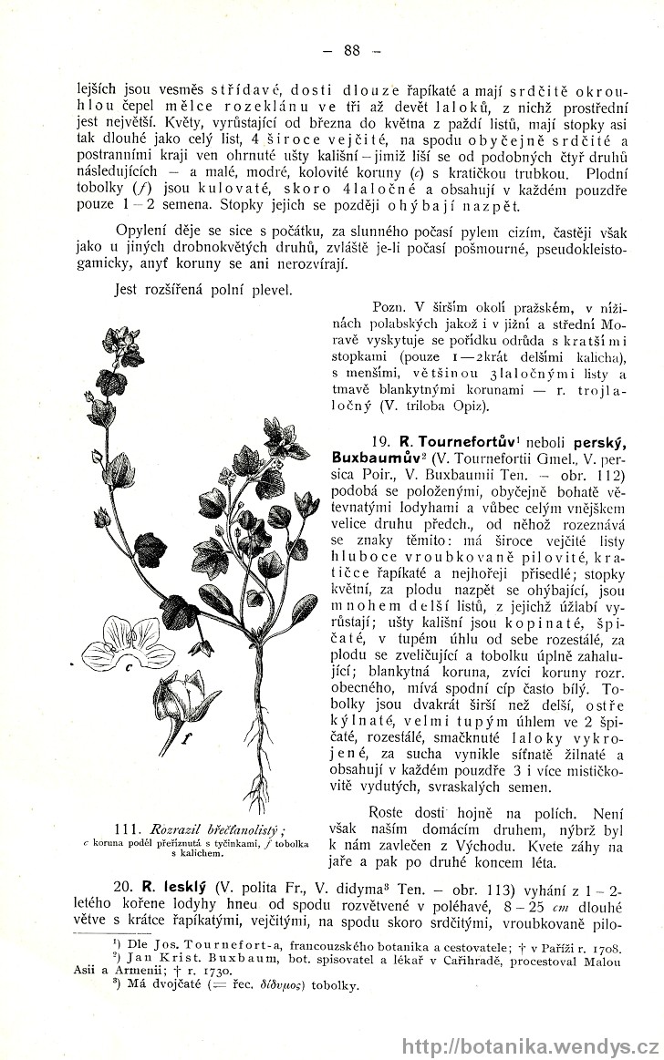 Názorná květena zemí koruny české, svazek 3, strana 88