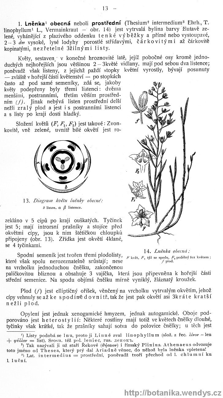 Názorná květena zemí koruny české, svazek 4, strana 13