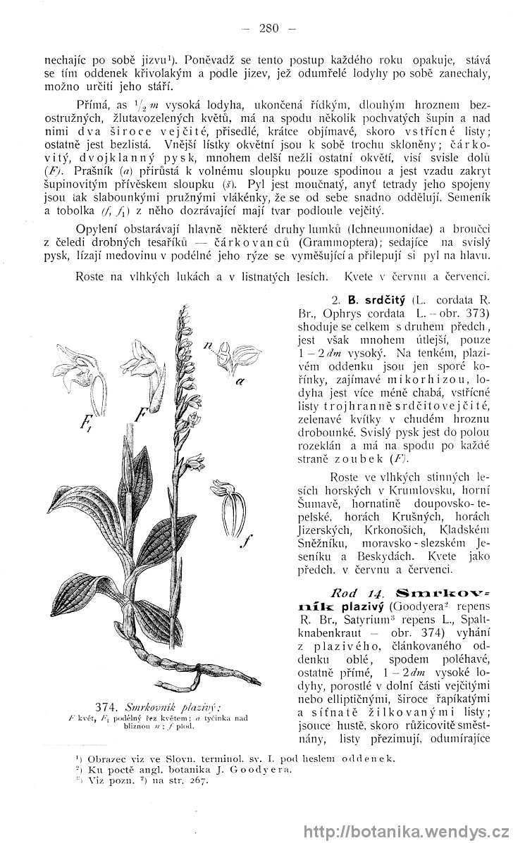 Názorná květena zemí koruny české, svazek 4, strana 280