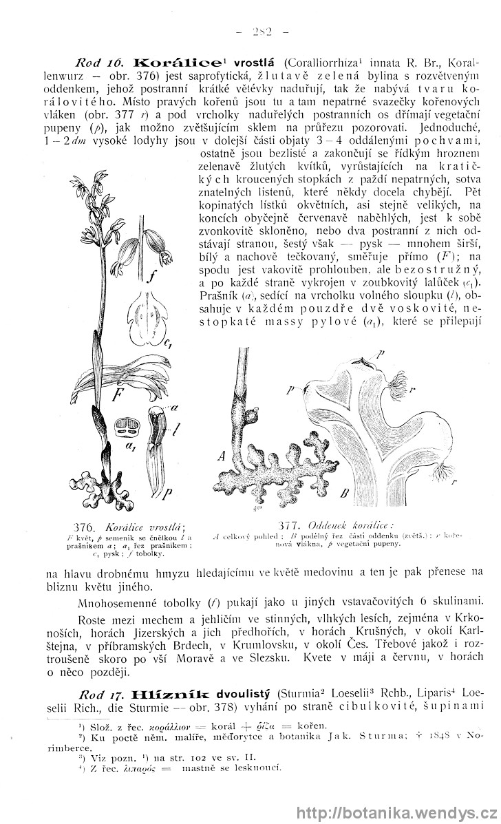 Názorná květena zemí koruny české, svazek 4, strana 282