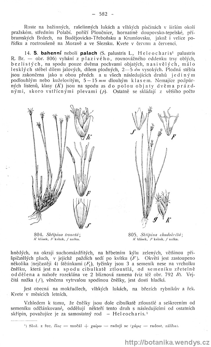 Názorná květena zemí koruny české, svazek 4, strana 582