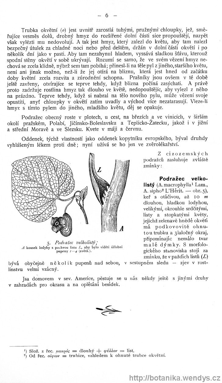 Názorná květena zemí koruny české, svazek 4, strana 6