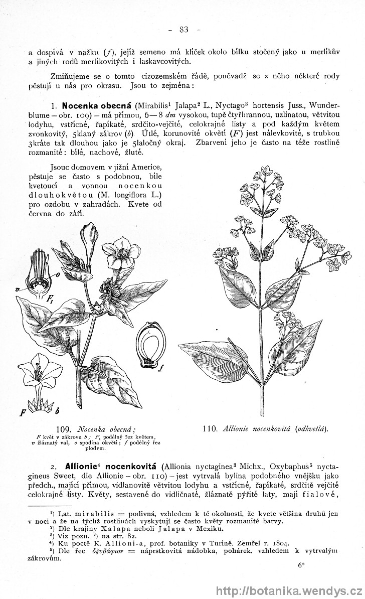 Názorná květena zemí koruny české, svazek 4, strana 83