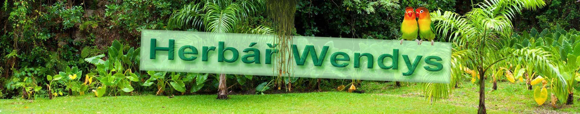 Herbář Wendys