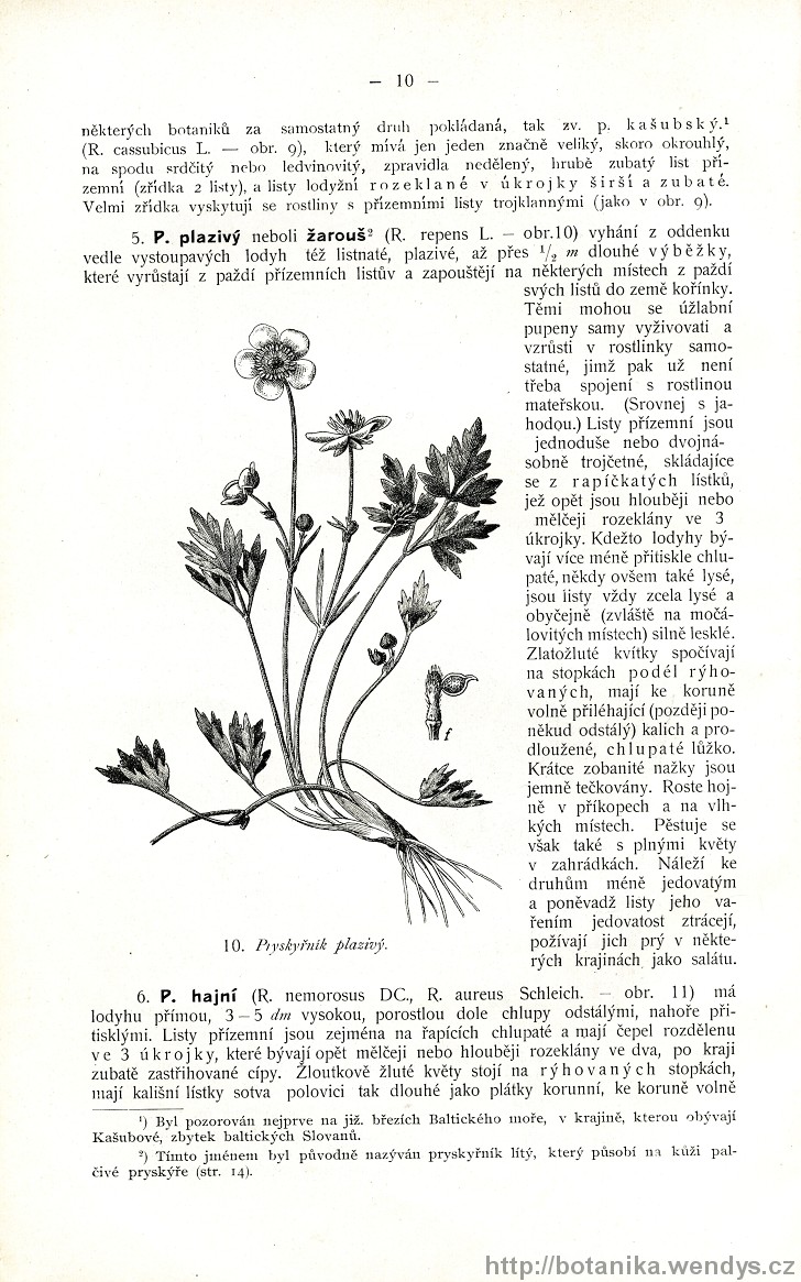 Názorná květena zemí koruny české, svazek 2, strana 10