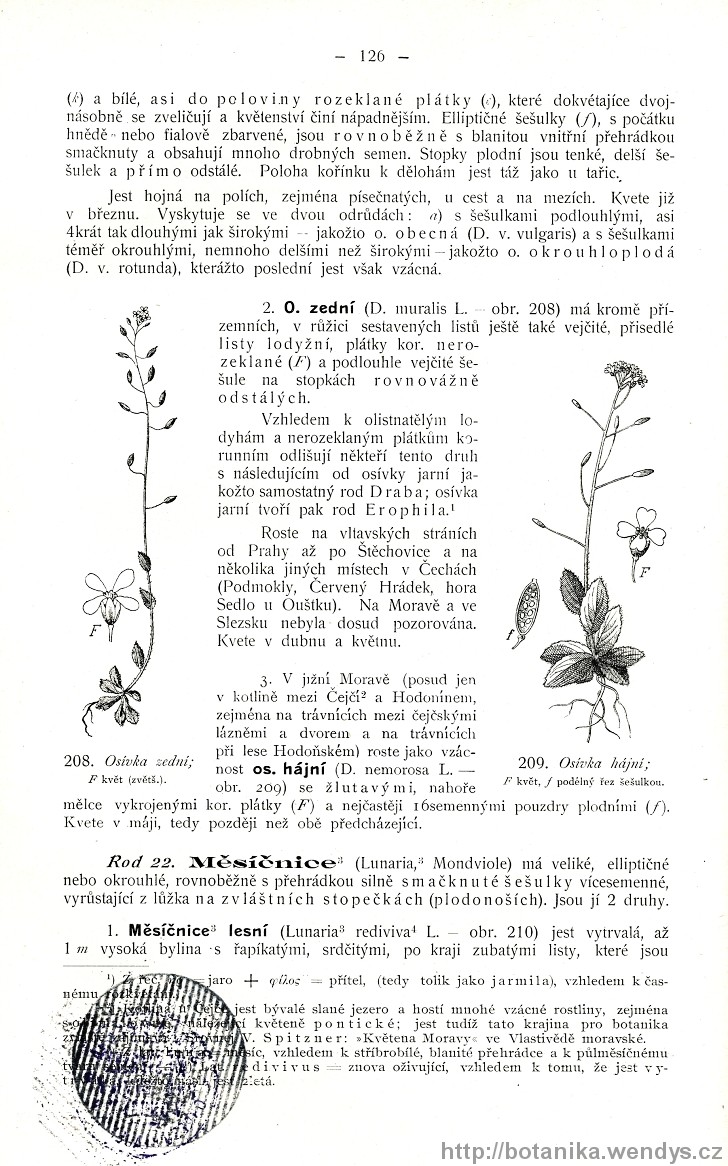 Názorná květena zemí koruny české, svazek 2, strana 126
