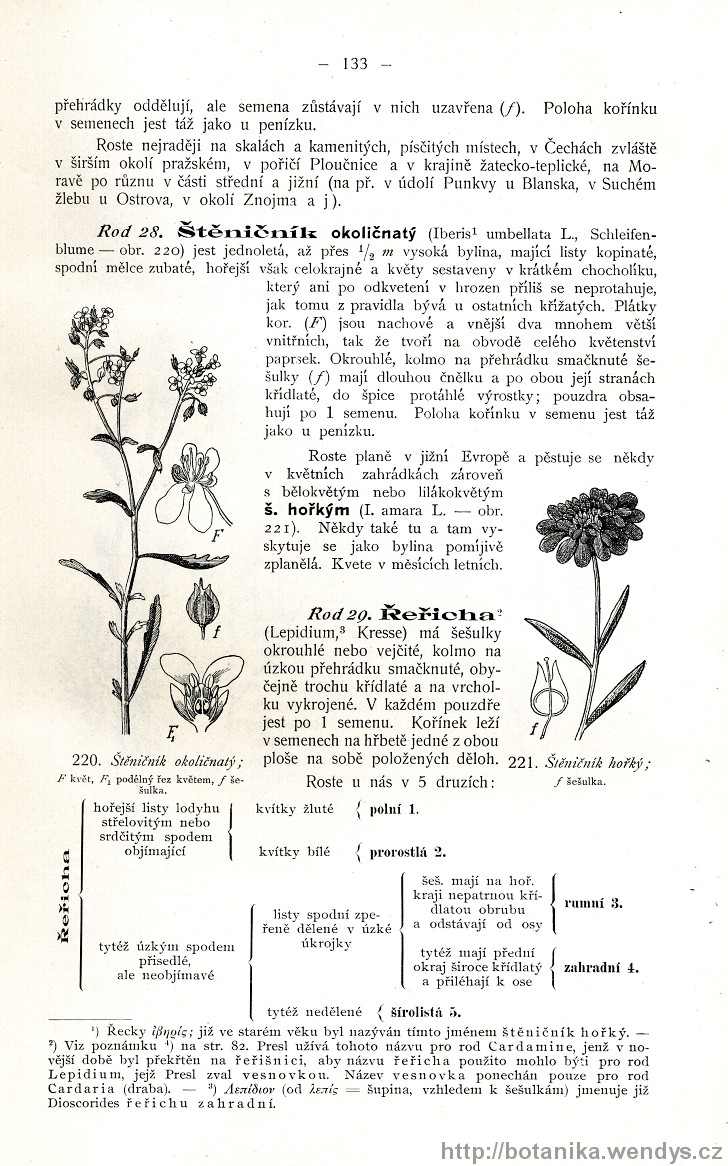 Názorná květena zemí koruny české, svazek 2, strana 133