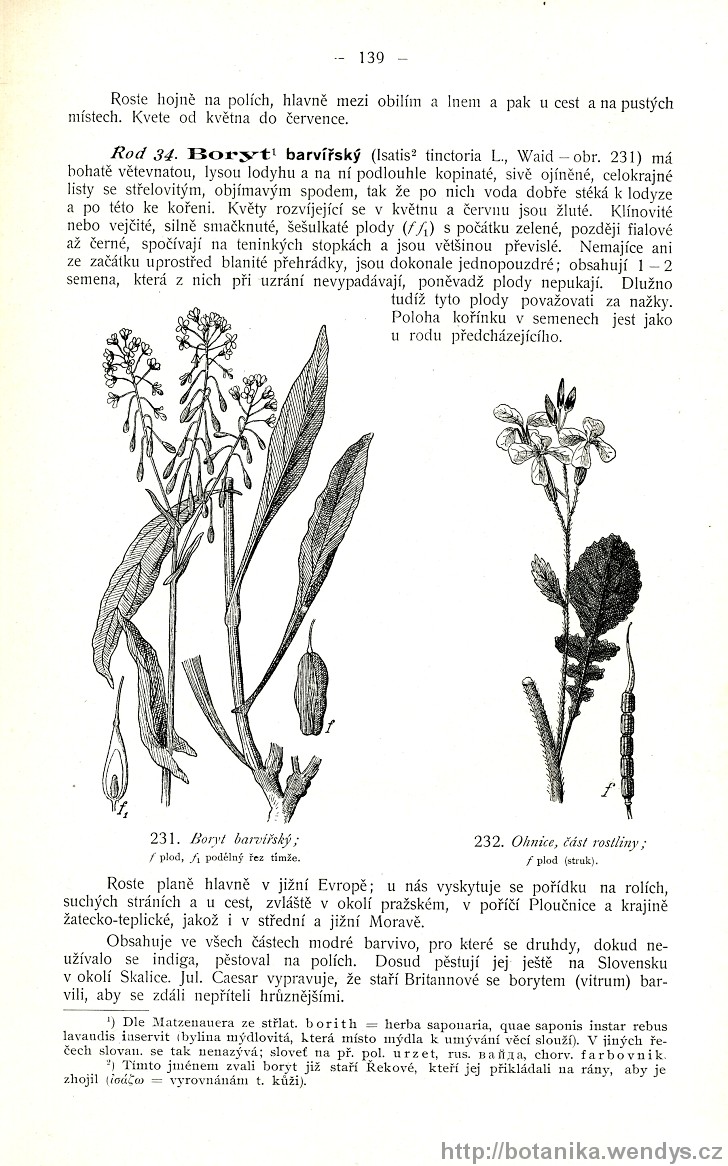 Názorná květena zemí koruny české, svazek 2, strana 139