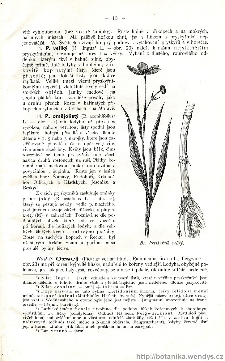 Názorná květena zemí koruny české, svazek 2, strana 15