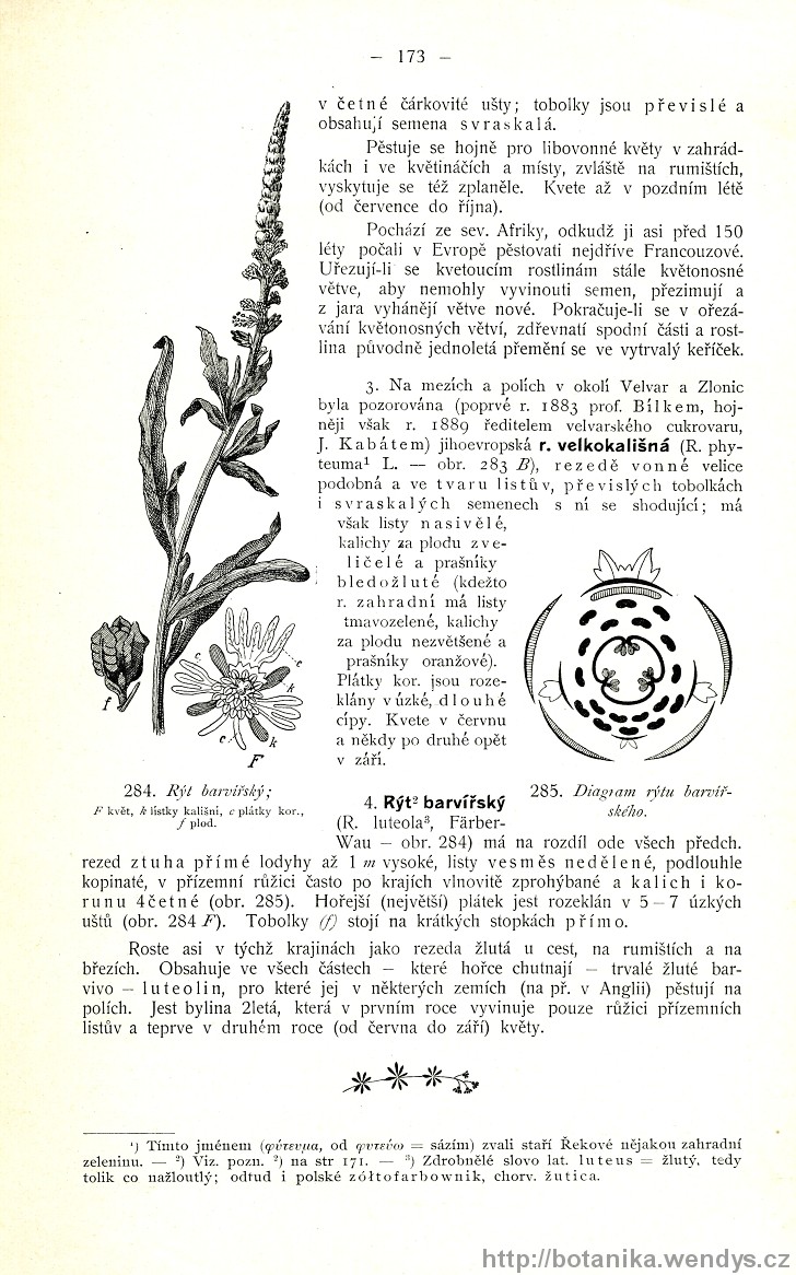 Názorná květena zemí koruny české, svazek 2, strana 173