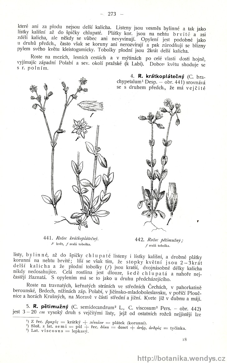 Názorná květena zemí koruny české, svazek 2, strana 273