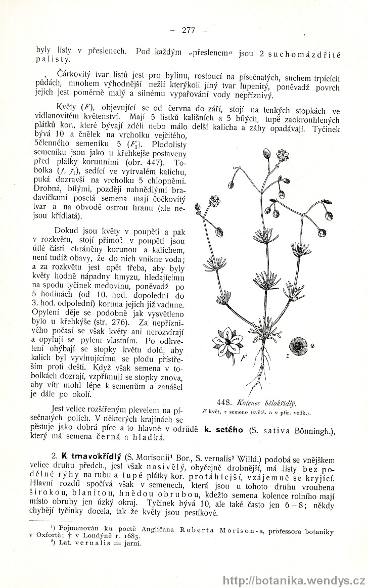 Názorná květena zemí koruny české, svazek 2, strana 277