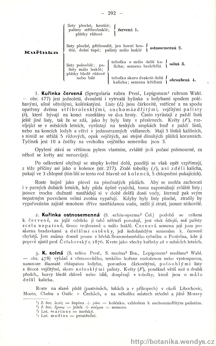 Názorná květena zemí koruny české, svazek 2, strana 292