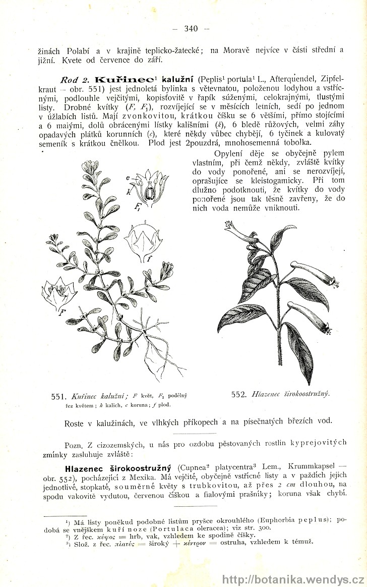 Názorná květena zemí koruny české, svazek 2, strana 340