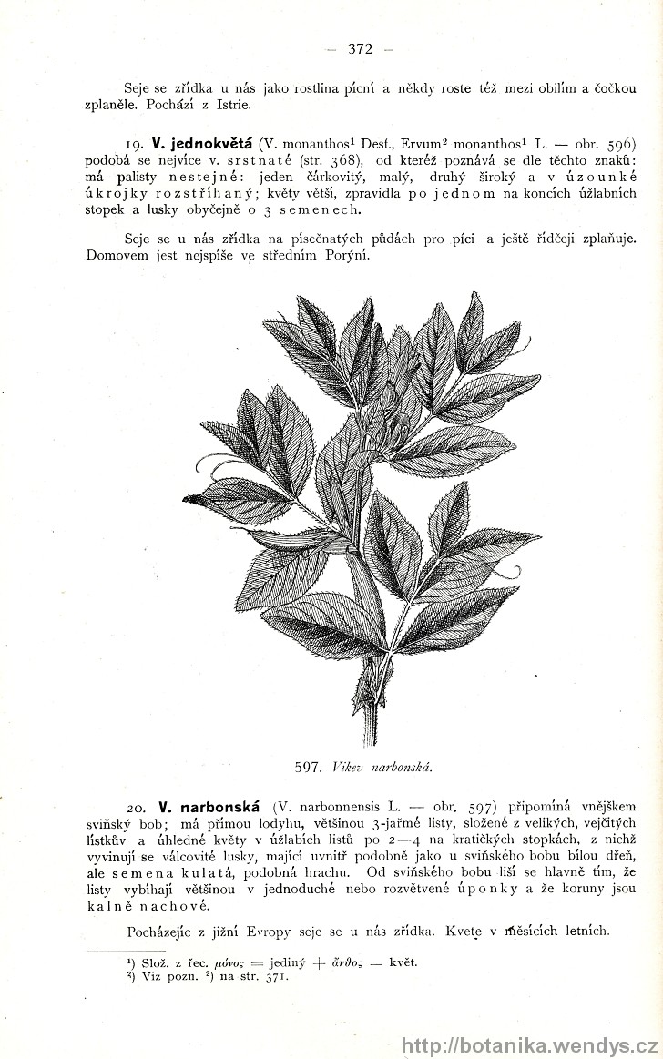 Názorná květena zemí koruny české, svazek 2, strana 372