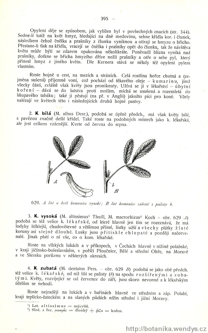 Názorná květena zemí koruny české, svazek 2, strana 395