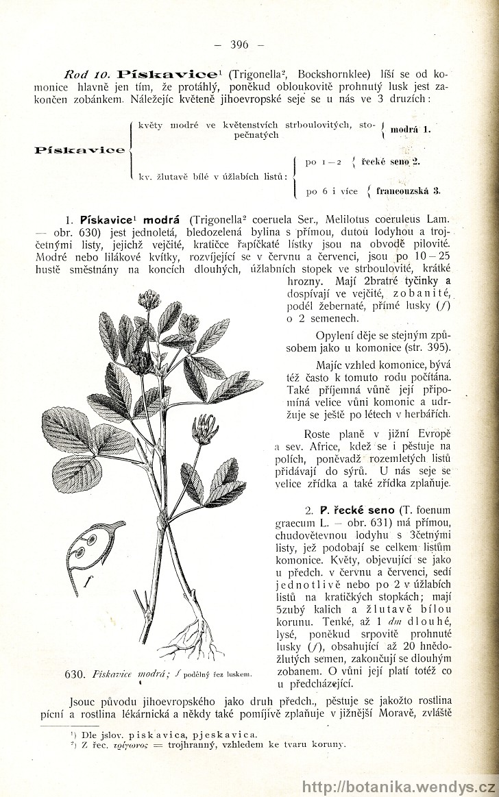 Názorná květena zemí koruny české, svazek 2, strana 396