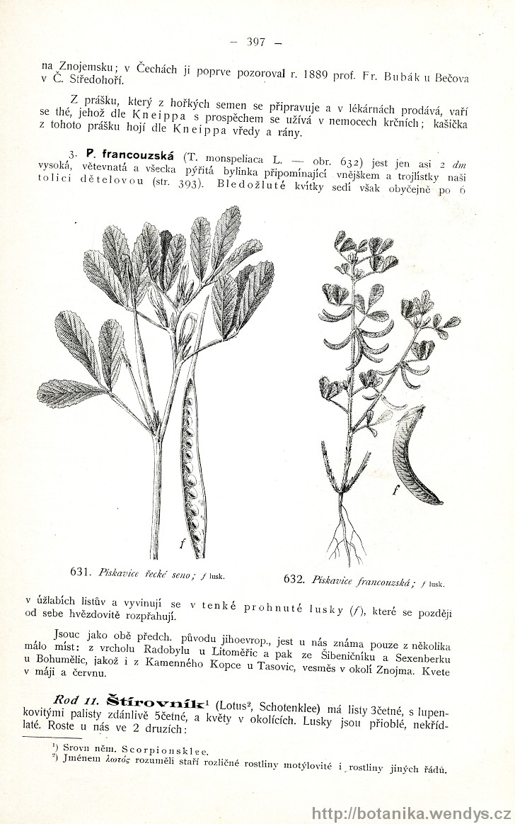 Názorná květena zemí koruny české, svazek 2, strana 397