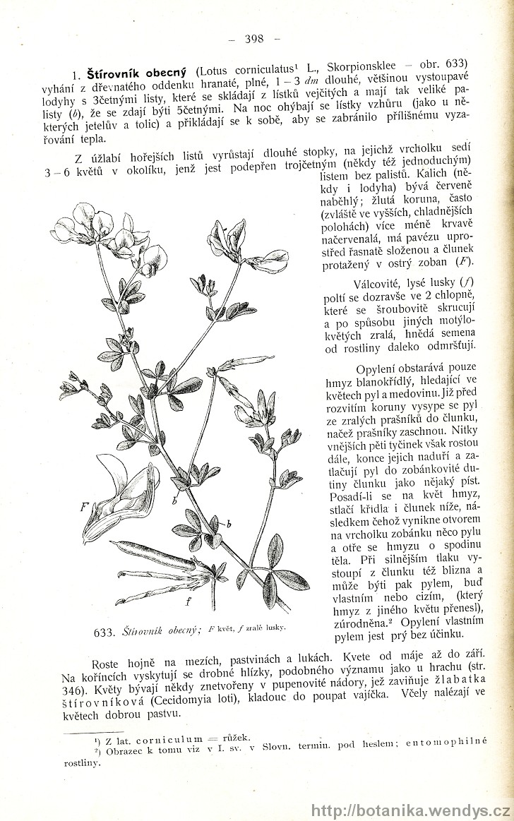 Názorná květena zemí koruny české, svazek 2, strana 398