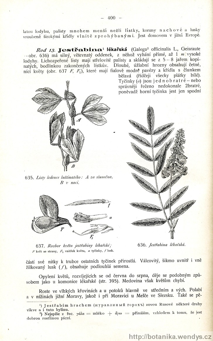 Názorná květena zemí koruny české, svazek 2, strana 400