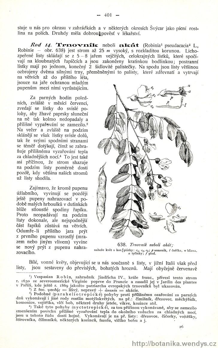 Názorná květena zemí koruny české, svazek 2, strana 401