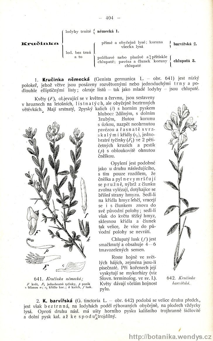 Názorná květena zemí koruny české, svazek 2, strana 404