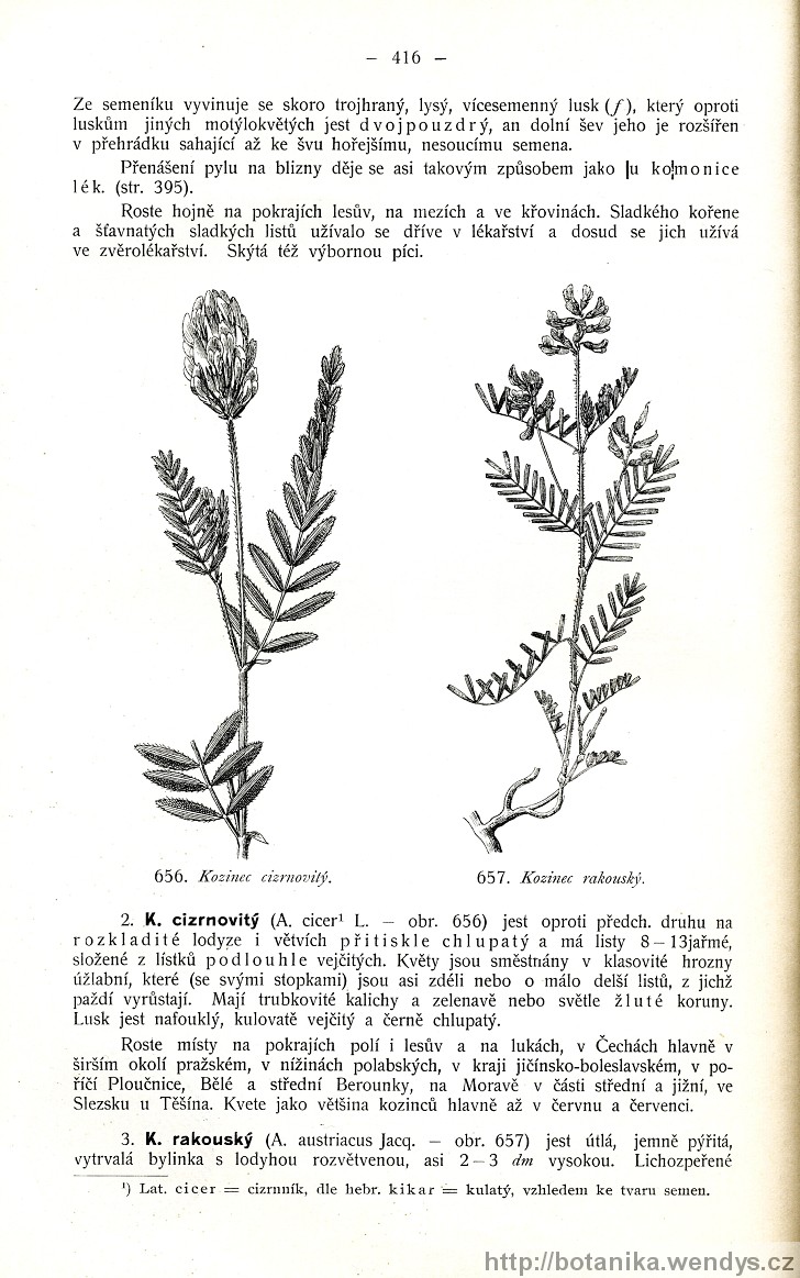 Názorná květena zemí koruny české, svazek 2, strana 416