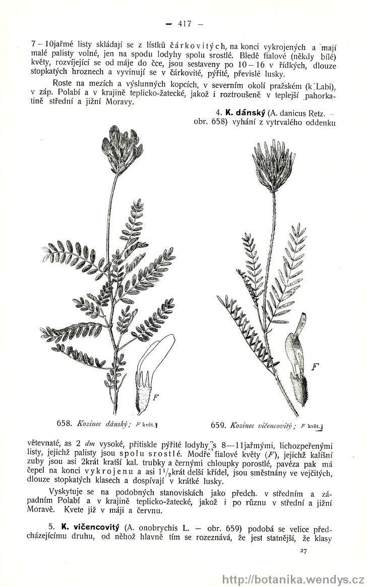 Názorná květena zemí koruny české, svazek 2, strana 417