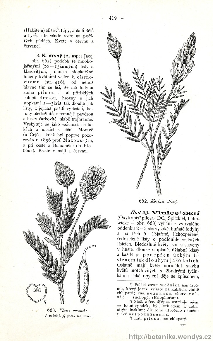 Názorná květena zemí koruny české, svazek 2, strana 419