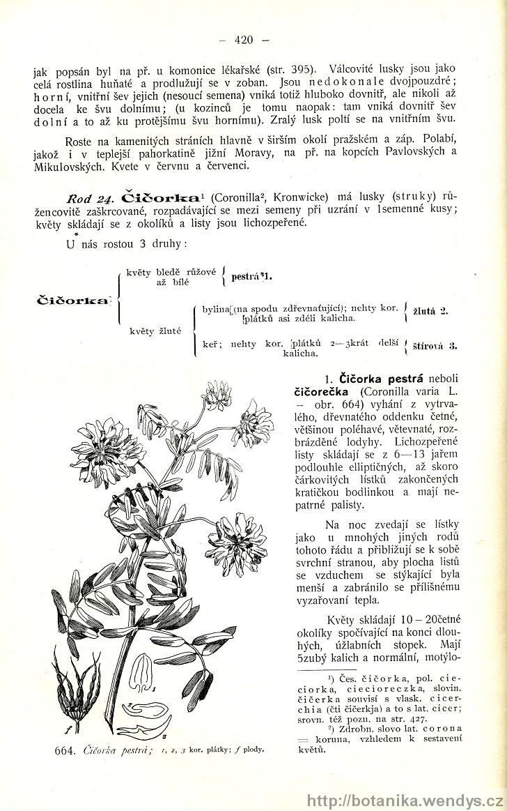 Názorná květena zemí koruny české, svazek 2, strana 420