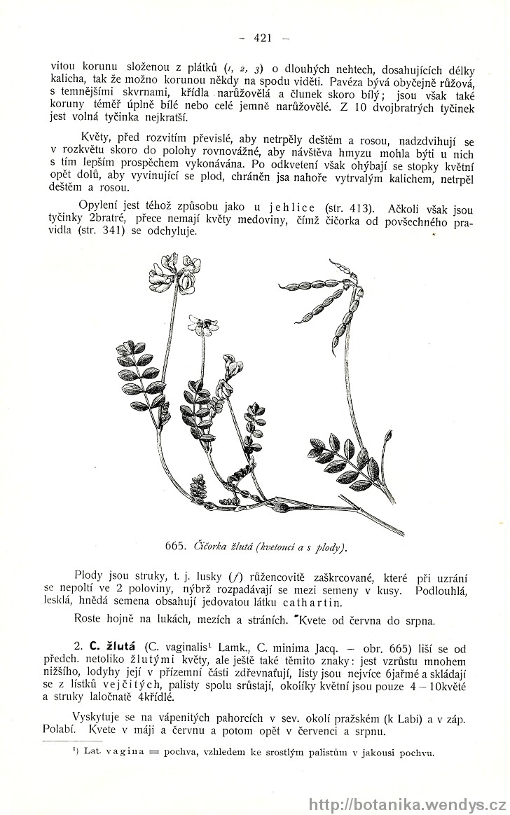 Názorná květena zemí koruny české, svazek 2, strana 421