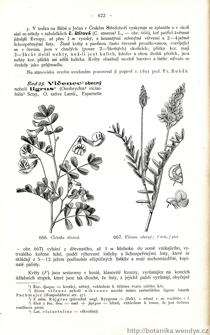 Názorná květena zemí koruny české, svazek 2, strana 422