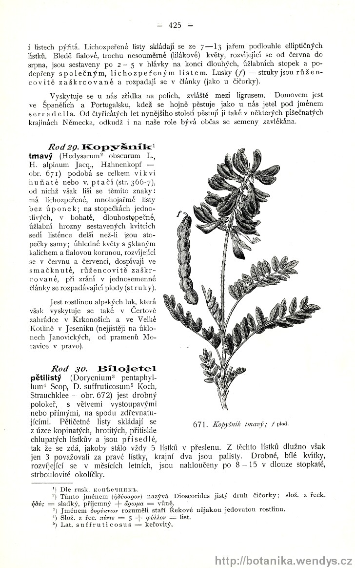 Názorná květena zemí koruny české, svazek 2, strana 425