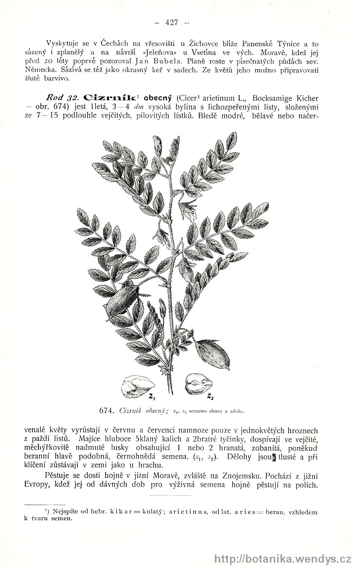 Názorná květena zemí koruny české, svazek 2, strana 427