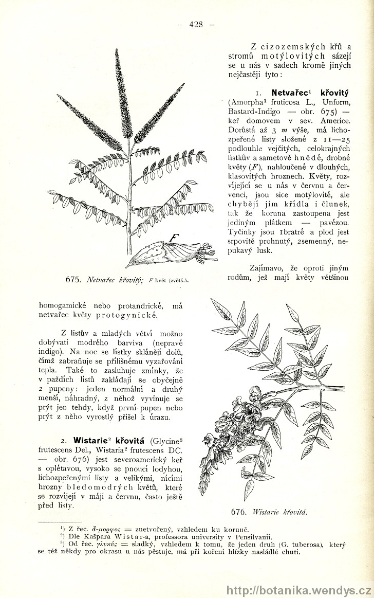 Názorná květena zemí koruny české, svazek 2, strana 428