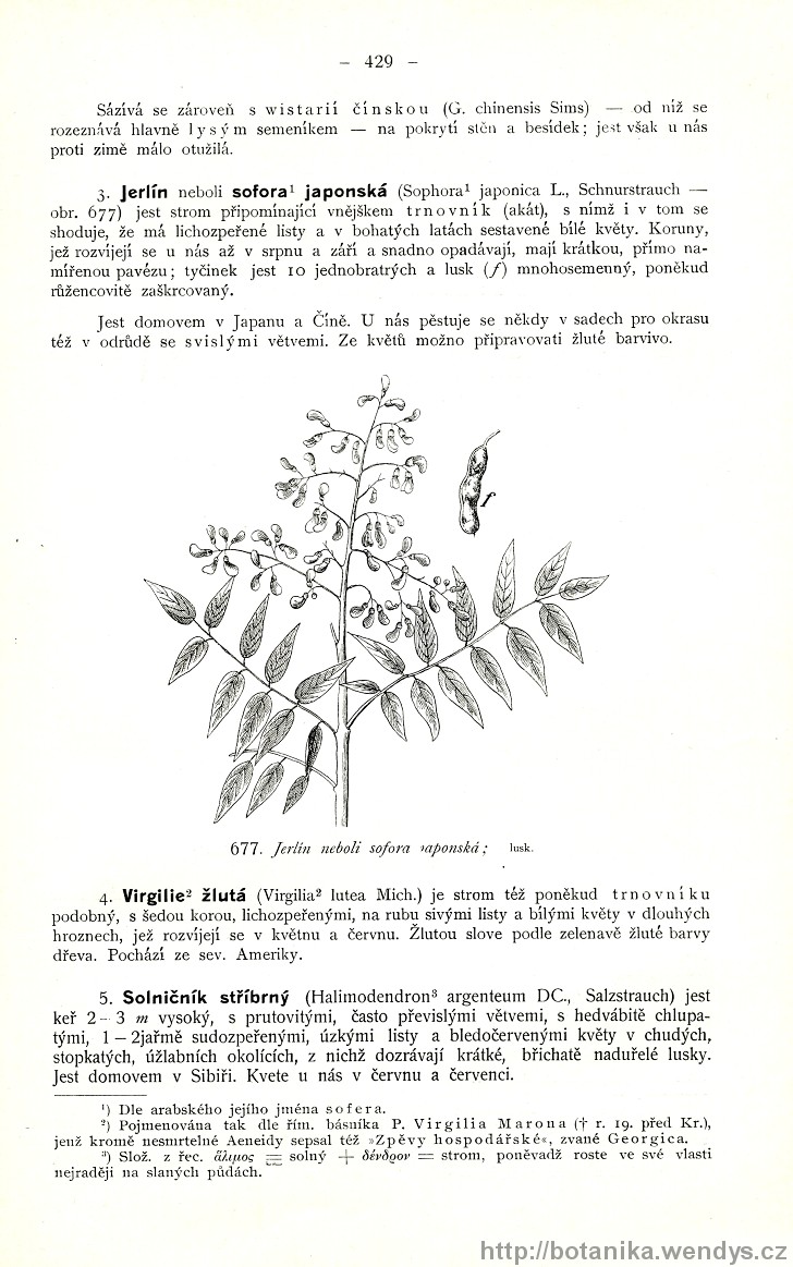 Názorná květena zemí koruny české, svazek 2, strana 429