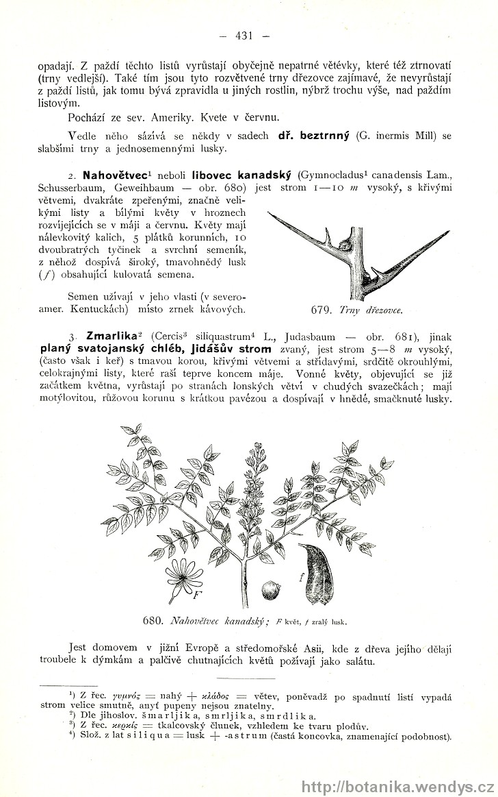 Názorná květena zemí koruny české, svazek 2, strana 431