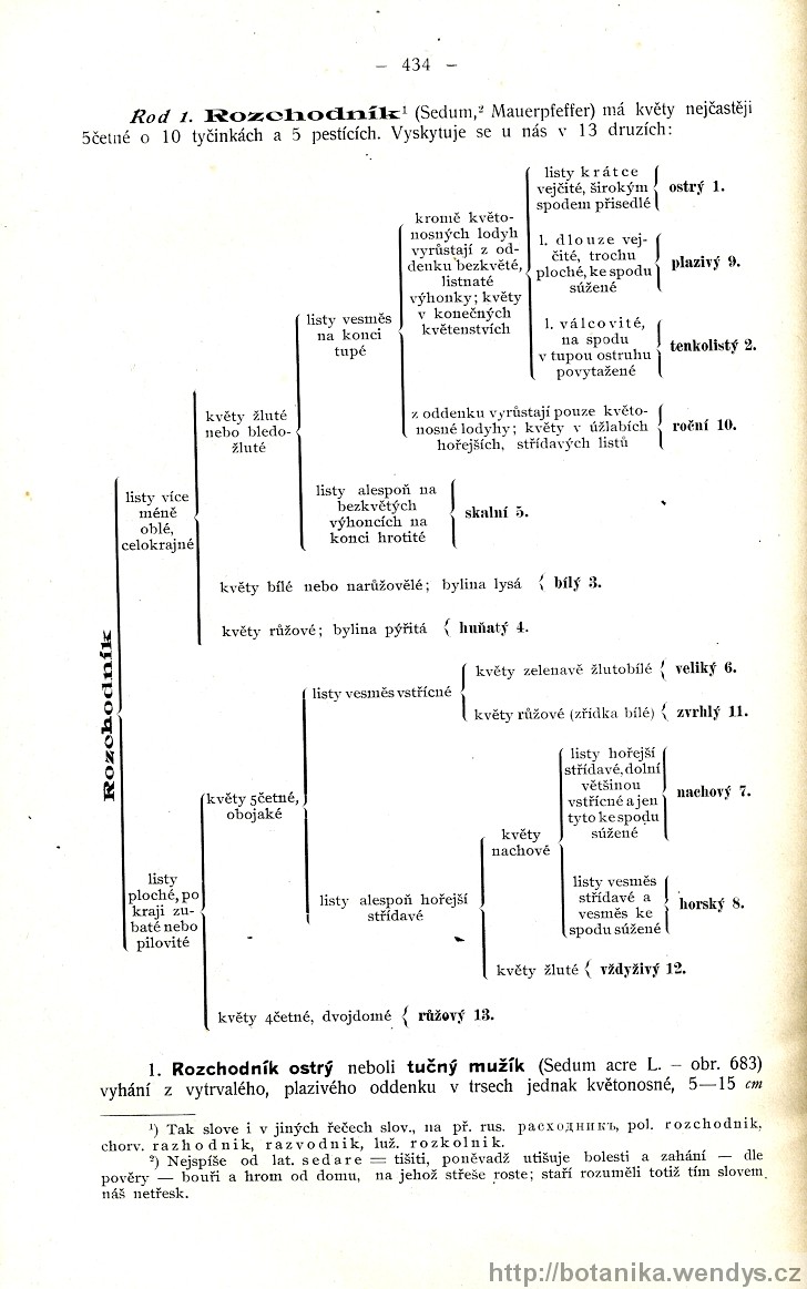 Názorná květena zemí koruny české, svazek 2, strana 434