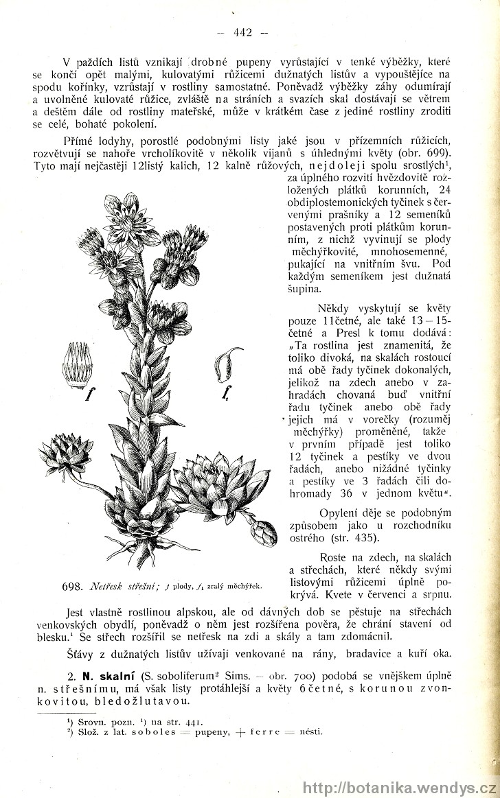 Názorná květena zemí koruny české, svazek 2, strana 442