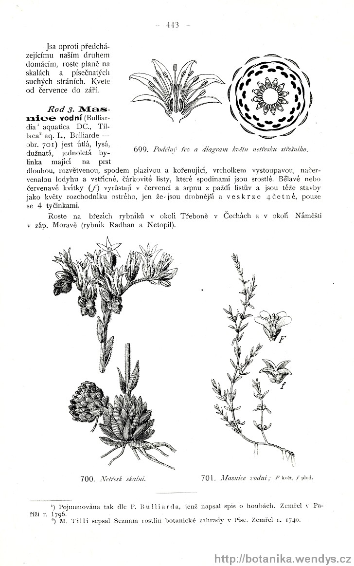 Názorná květena zemí koruny české, svazek 2, strana 443