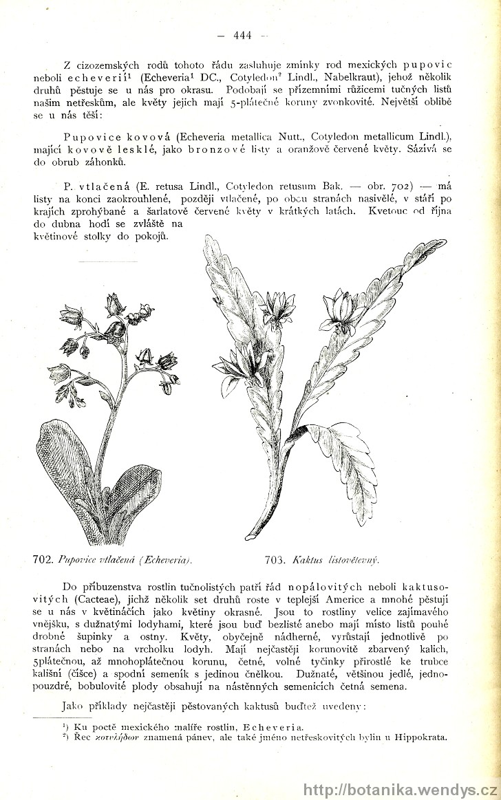 Názorná květena zemí koruny české, svazek 2, strana 444