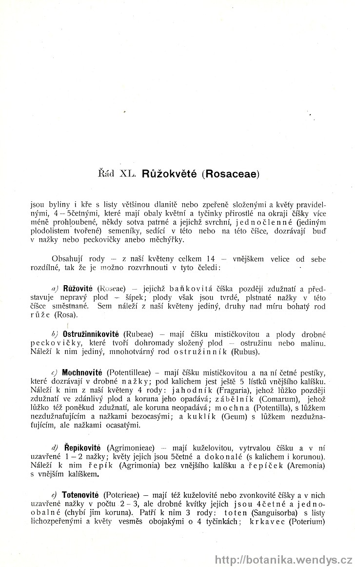 Názorná květena zemí koruny české, svazek 2, strana 447