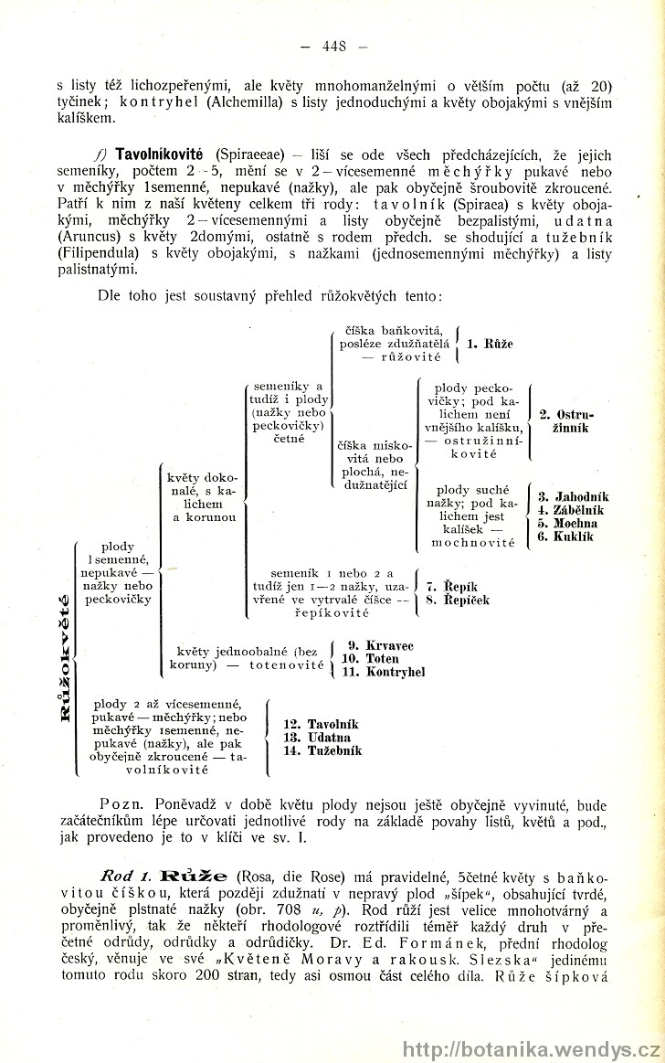 Názorná květena zemí koruny české, svazek 2, strana 448