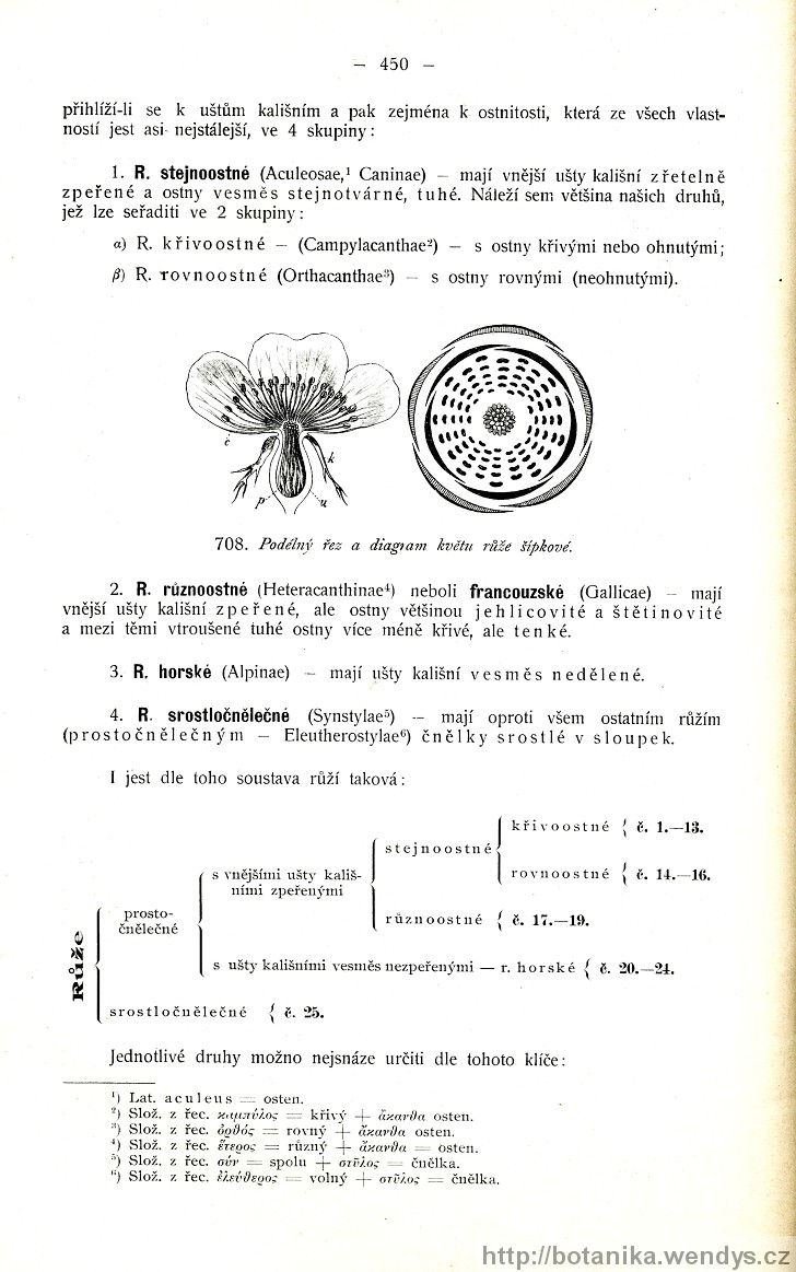 Názorná květena zemí koruny české, svazek 2, strana 450