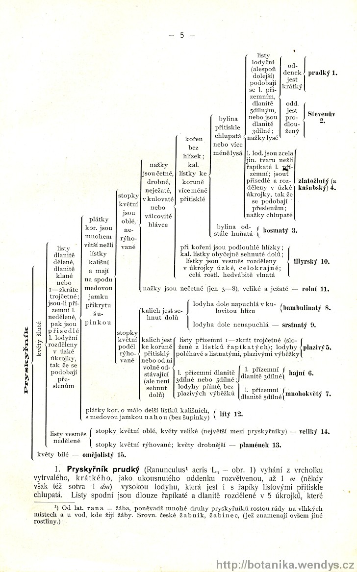 Názorná květena zemí koruny české, svazek 2, strana 5
