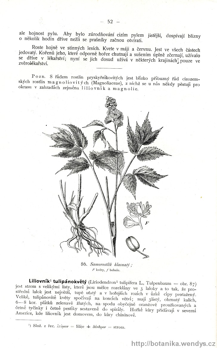 Názorná květena zemí koruny české, svazek 2, strana 52